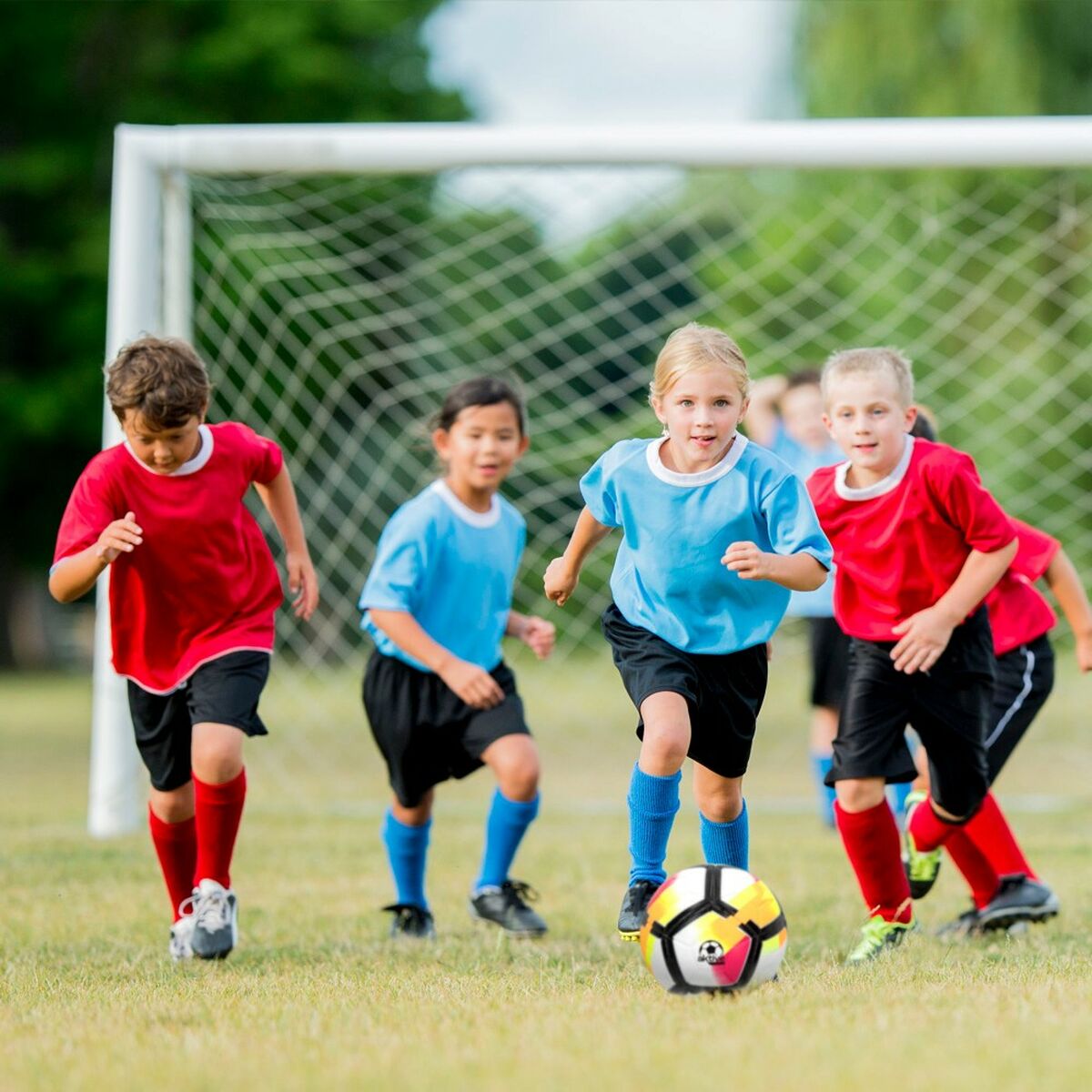 V6H33BA48C01AFB7F63D8A18A20EA43CC71R3512072P6